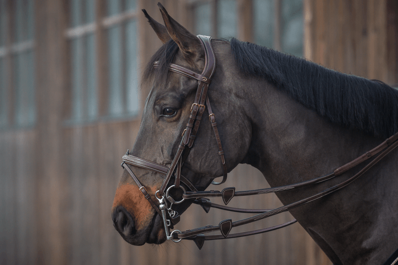 Chargez l'image dans la visionneuse de la galerie, Marron