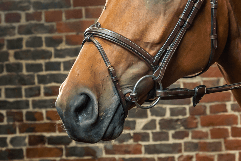 Chargez l'image dans la visionneuse de la galerie, Brun