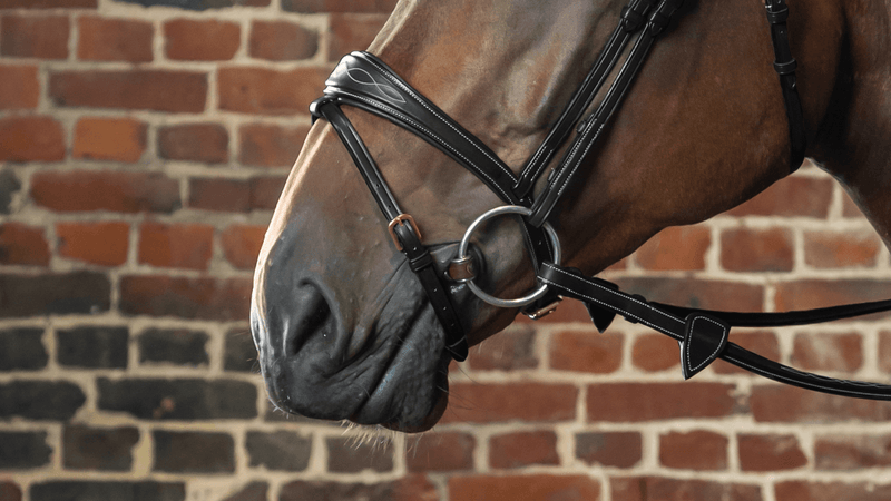 Chargez l'image dans la visionneuse de la galerie, Noir