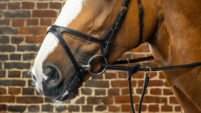 Chargez l'image dans la visionneuse de la galerie, Noir