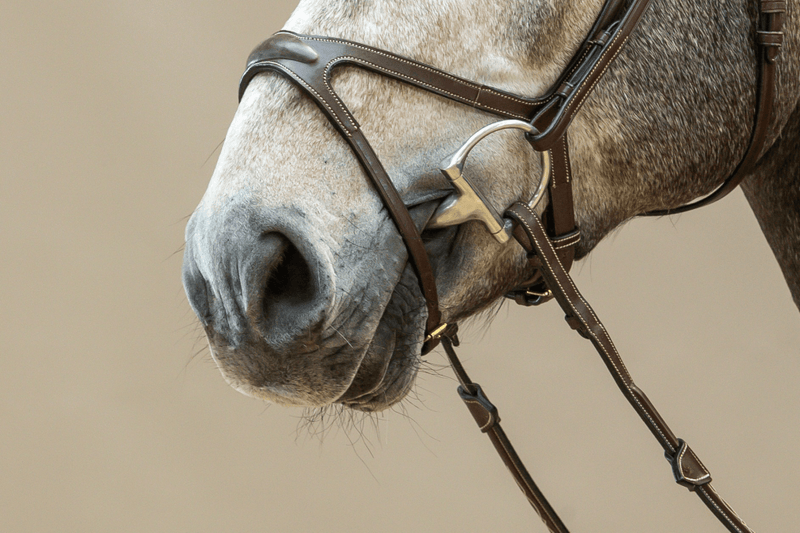 Chargez l'image dans la visionneuse de la galerie, Brun