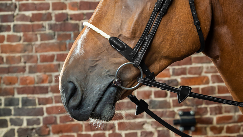 Chargez l'image dans la visionneuse de la galerie, Noir