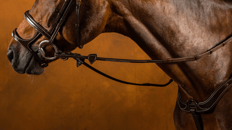 Chargez l'image dans la visionneuse de la galerie, Marron