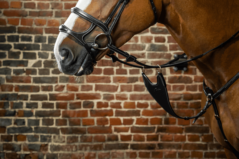 Chargez l'image dans la visionneuse de la galerie, Noir