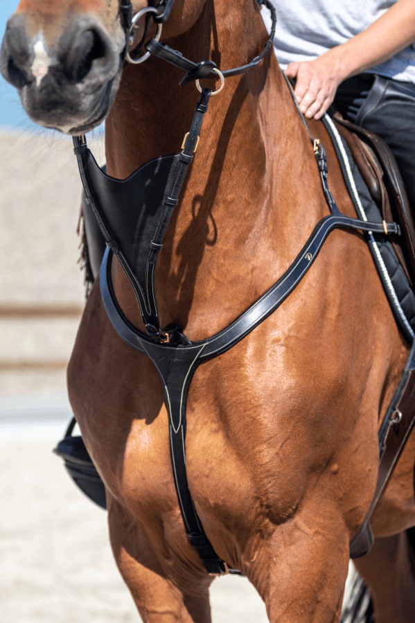 Chargez l'image dans la visionneuse de la galerie, Noir