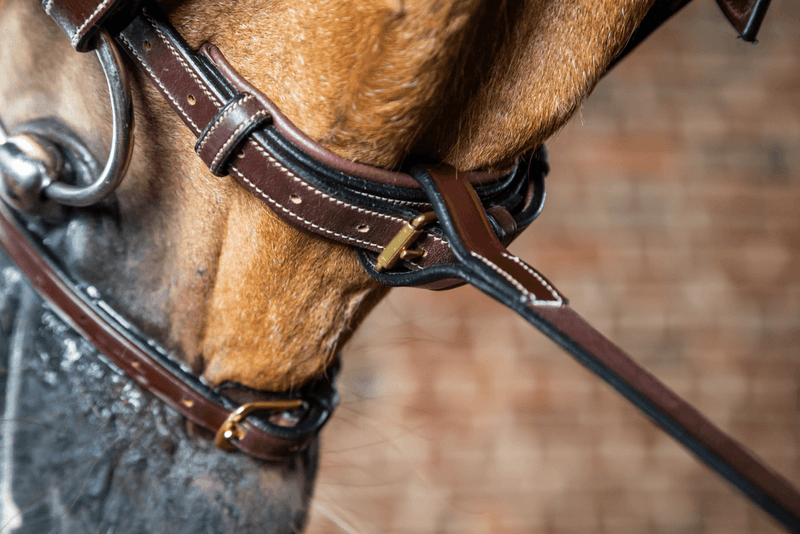 Chargez l'image dans la visionneuse de la galerie, Brun