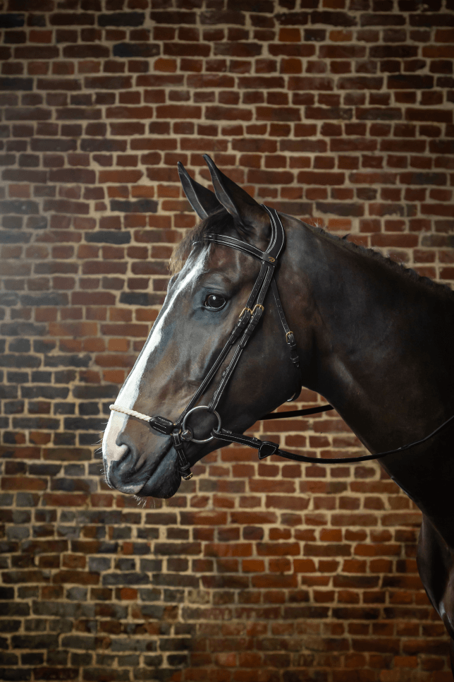 Chargez l'image dans la visionneuse de la galerie, Noir