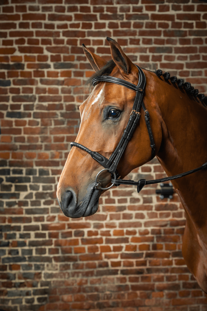 Chargez l'image dans la visionneuse de la galerie, Noir