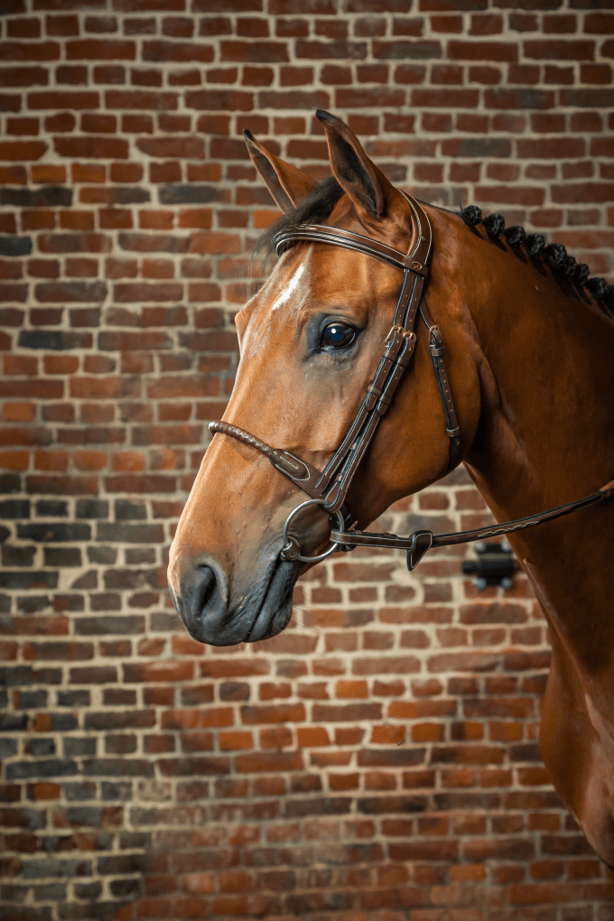 Chargez l'image dans la visionneuse de la galerie, Brun