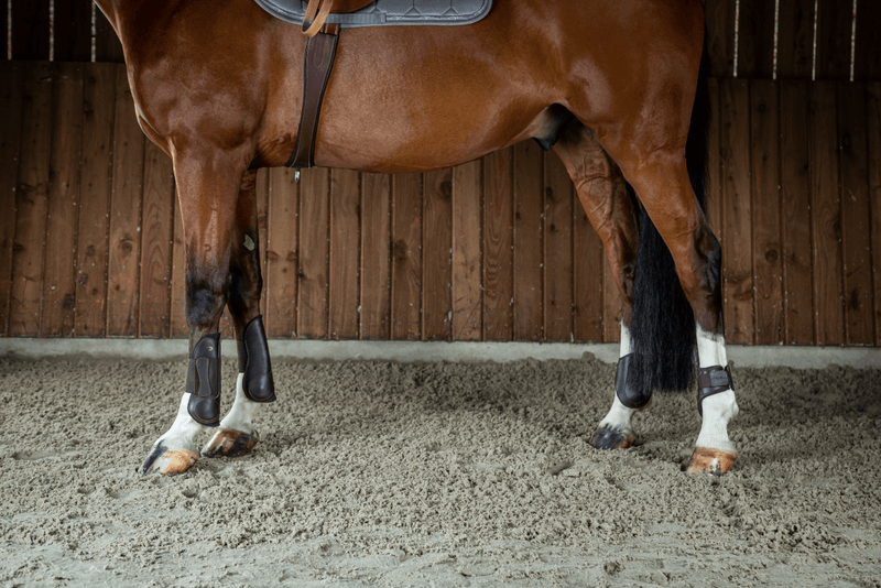 Chargez l'image dans la visionneuse de la galerie, Brun