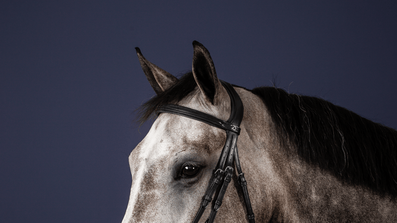 Chargez l'image dans la visionneuse de la galerie, Noir