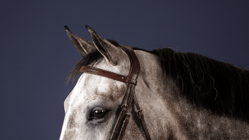 Chargez l'image dans la visionneuse de la galerie, Brun