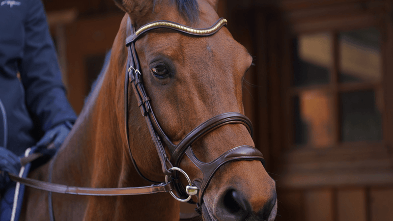 Chargez l'image dans la visionneuse de la galerie, Brun