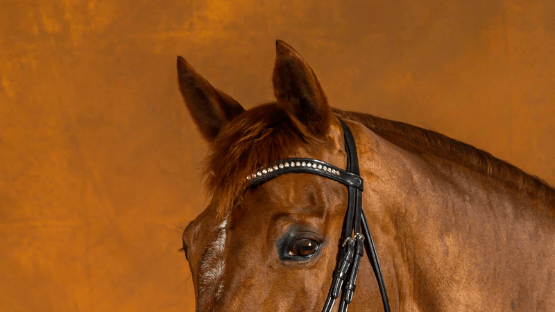 Chargez l'image dans la visionneuse de la galerie, Noir