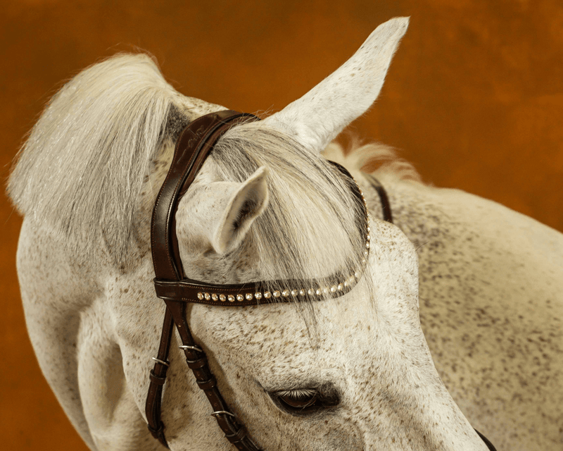 Chargez l'image dans la visionneuse de la galerie, Brun