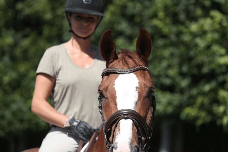 Chargez l'image dans la visionneuse de la galerie, Brun