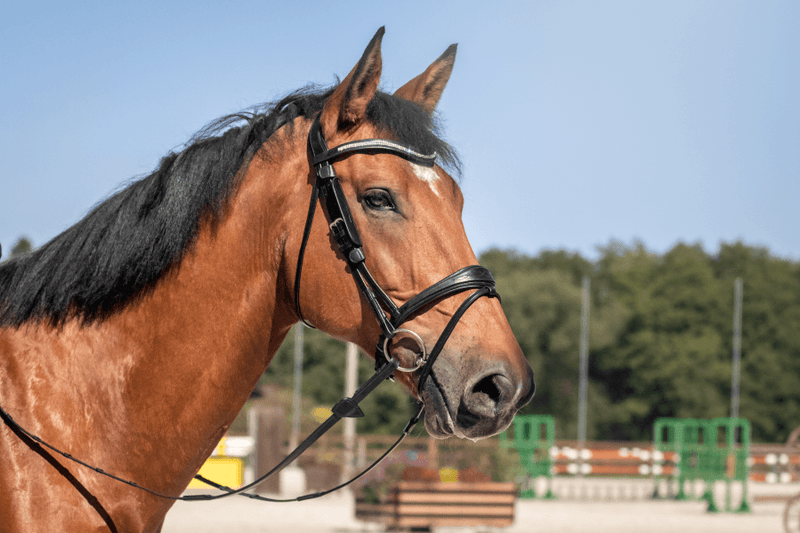 Chargez l'image dans la visionneuse de la galerie, Frontal V Double Swarovski Blanc NE