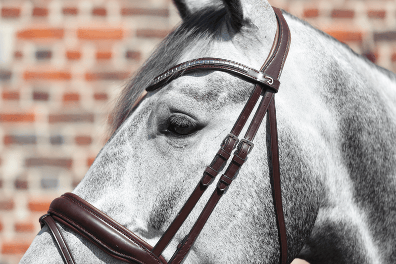 Chargez l'image dans la visionneuse de la galerie, Brun