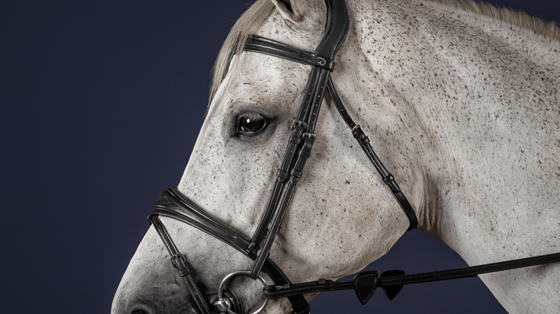 Chargez l'image dans la visionneuse de la galerie, Noir