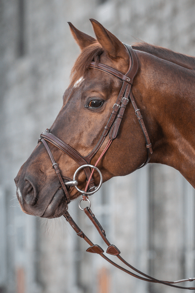 Chargez l'image dans la visionneuse de la galerie, Brun