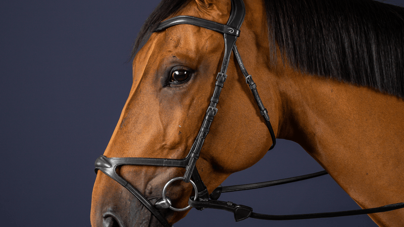 Chargez l'image dans la visionneuse de la galerie, Noir