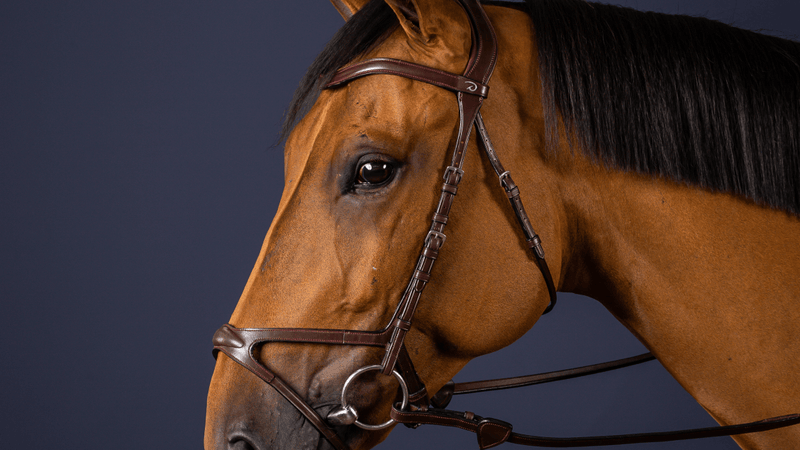 Chargez l'image dans la visionneuse de la galerie, Brun