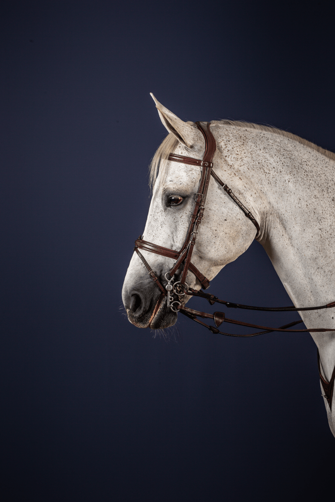 Chargez l'image dans la visionneuse de la galerie, Brun