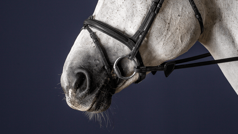 Chargez l'image dans la visionneuse de la galerie, Noir