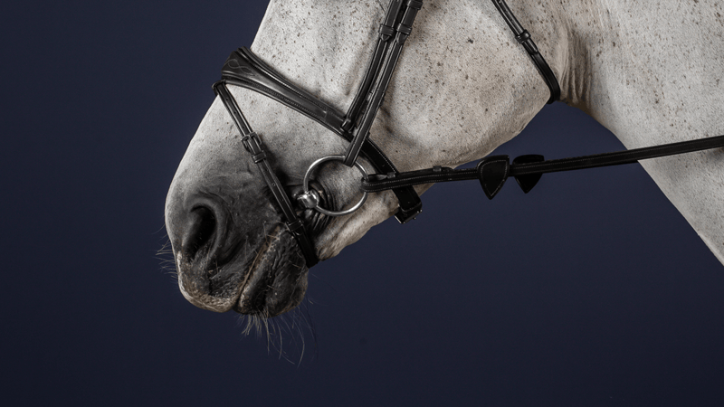 Chargez l'image dans la visionneuse de la galerie, Noir