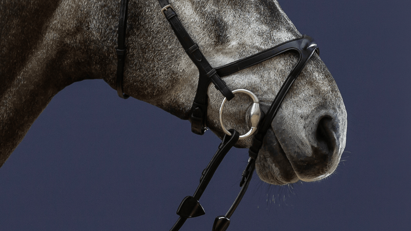 Chargez l'image dans la visionneuse de la galerie, Noir