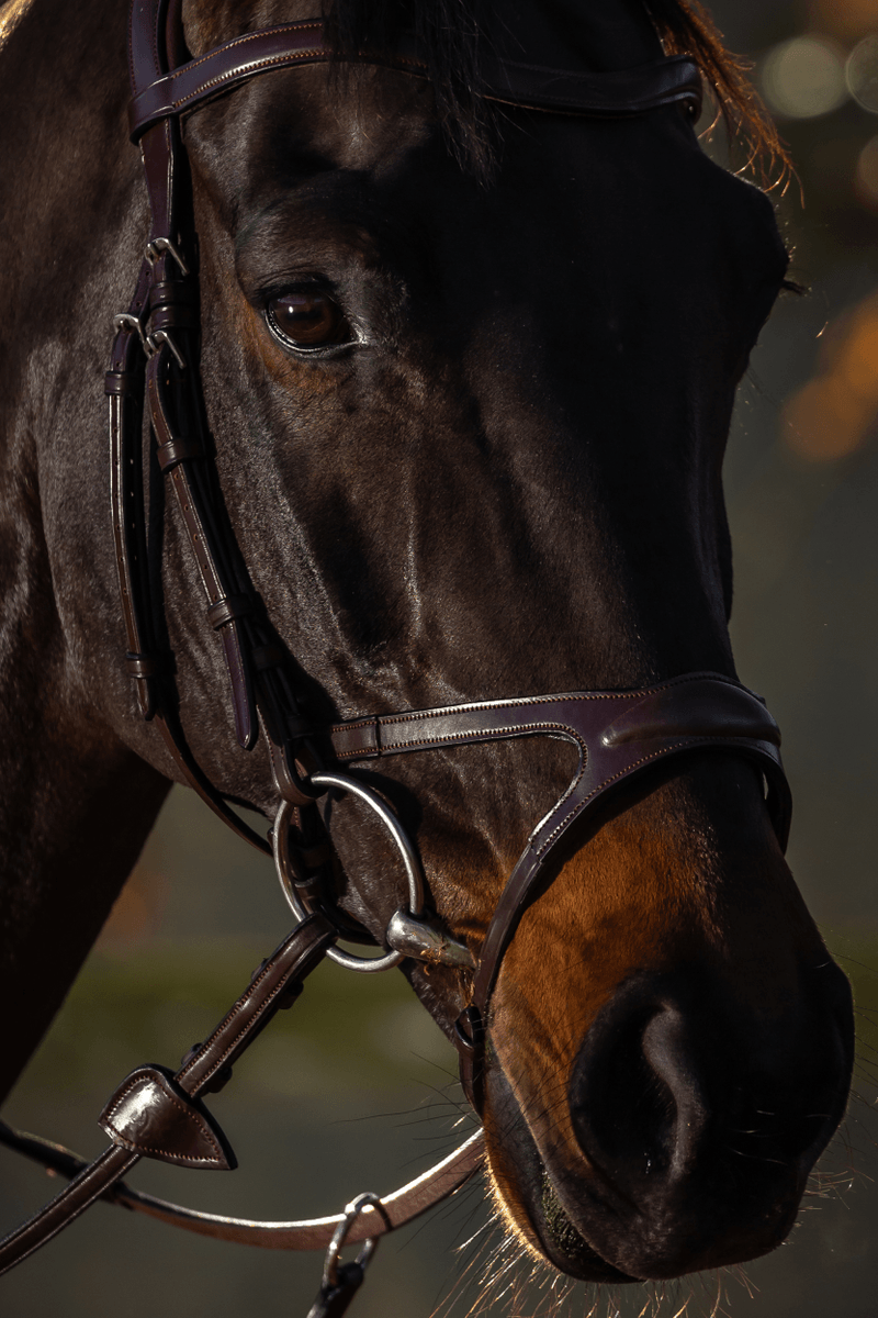 Chargez l'image dans la visionneuse de la galerie, Brun