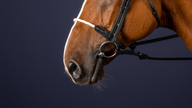 Chargez l'image dans la visionneuse de la galerie, Noir