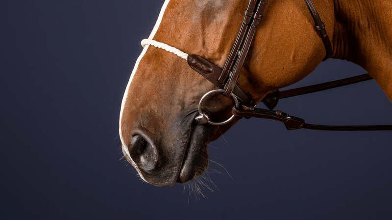 Chargez l'image dans la visionneuse de la galerie, Brun