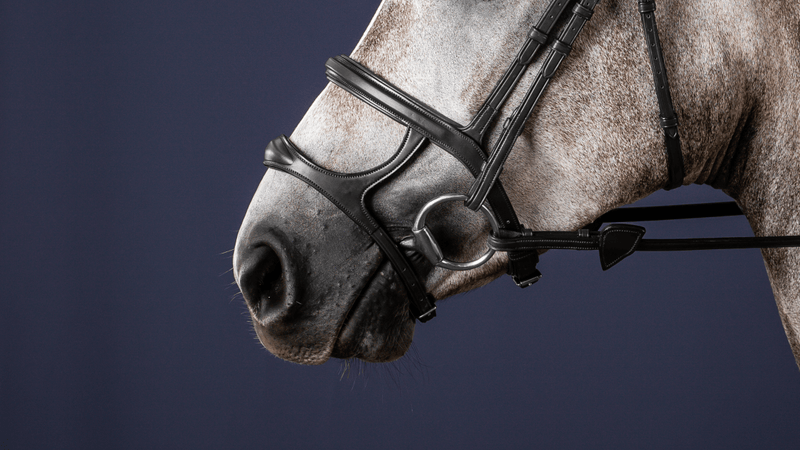 Chargez l'image dans la visionneuse de la galerie, Noir