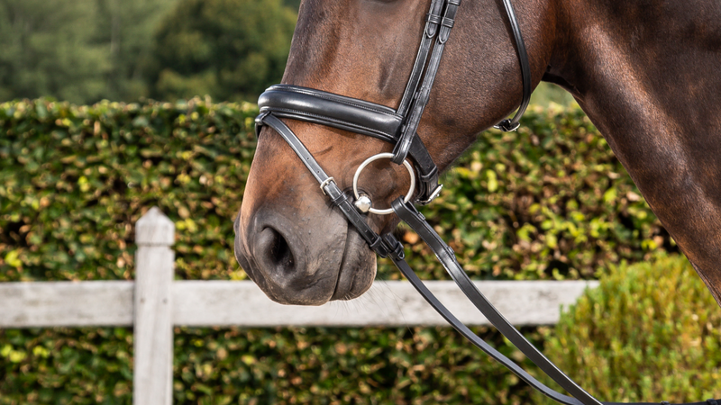 Chargez l'image dans la visionneuse de la galerie, Noir