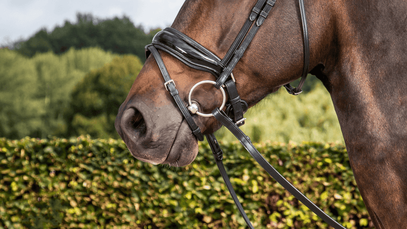 Chargez l'image dans la visionneuse de la galerie, Noir