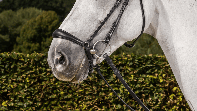 Chargez l'image dans la visionneuse de la galerie, Noir