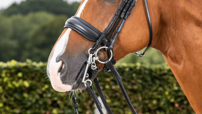 Chargez l'image dans la visionneuse de la galerie, Noir