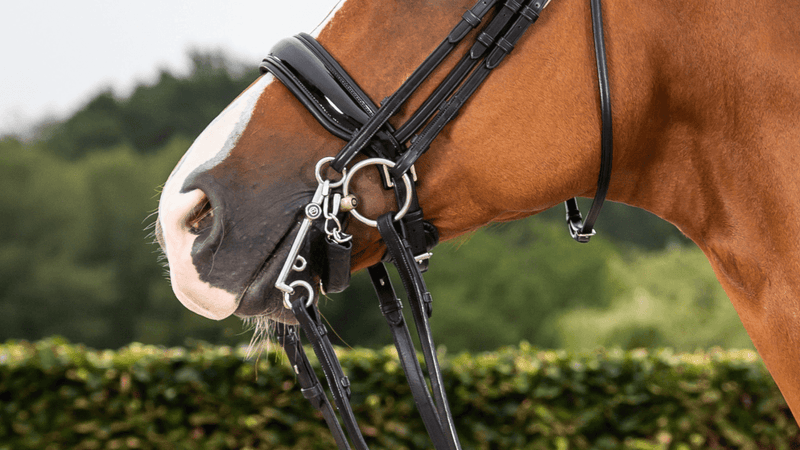 Chargez l'image dans la visionneuse de la galerie, Noir