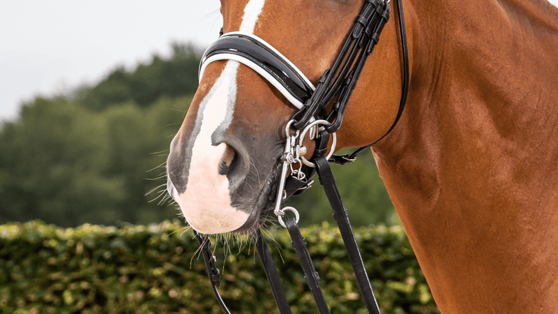 Chargez l'image dans la visionneuse de la galerie, Noir