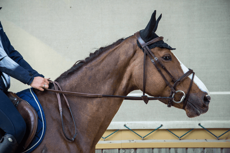 Chargez l'image dans la visionneuse de la galerie, Brun