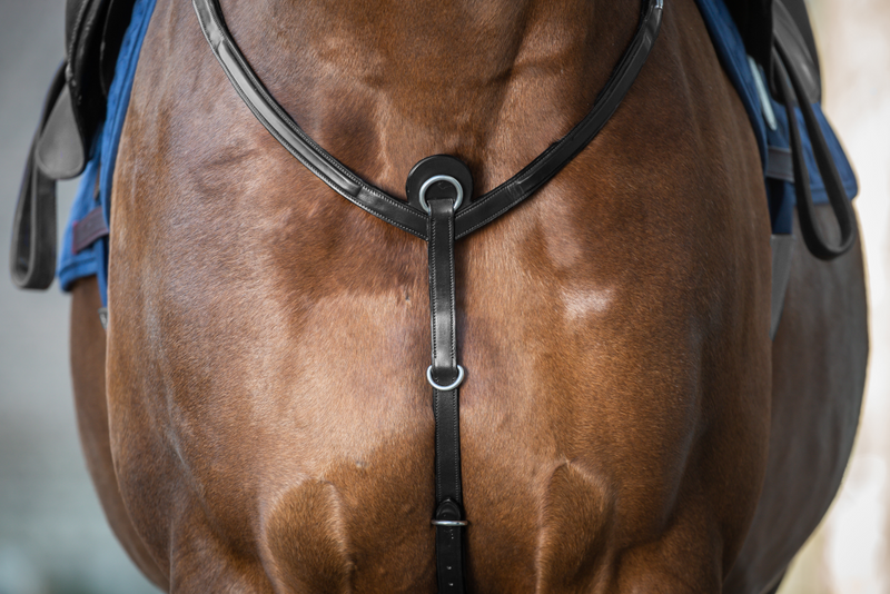 Chargez l'image dans la visionneuse de la galerie, Noir