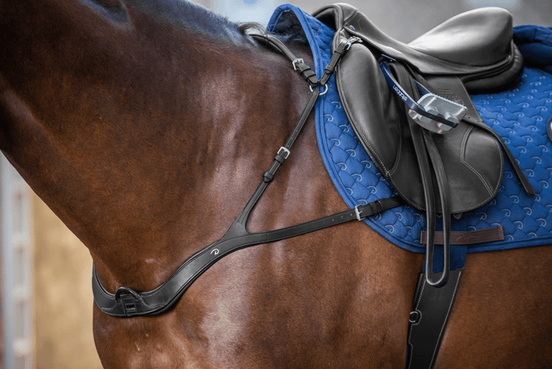 Chargez l'image dans la visionneuse de la galerie, Noir