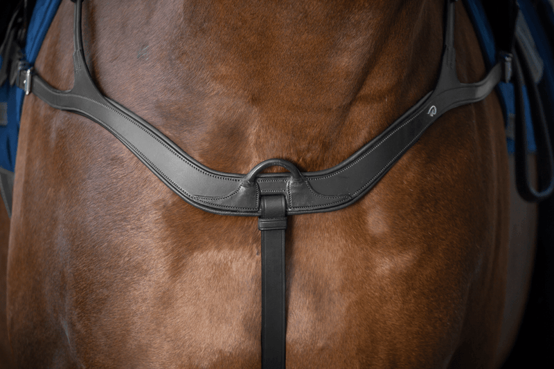 Chargez l'image dans la visionneuse de la galerie, Noir