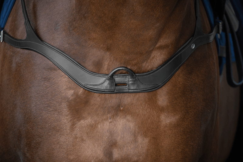 Chargez l'image dans la visionneuse de la galerie, Noir