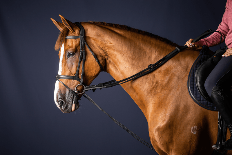 Chargez l'image dans la visionneuse de la galerie, Noir