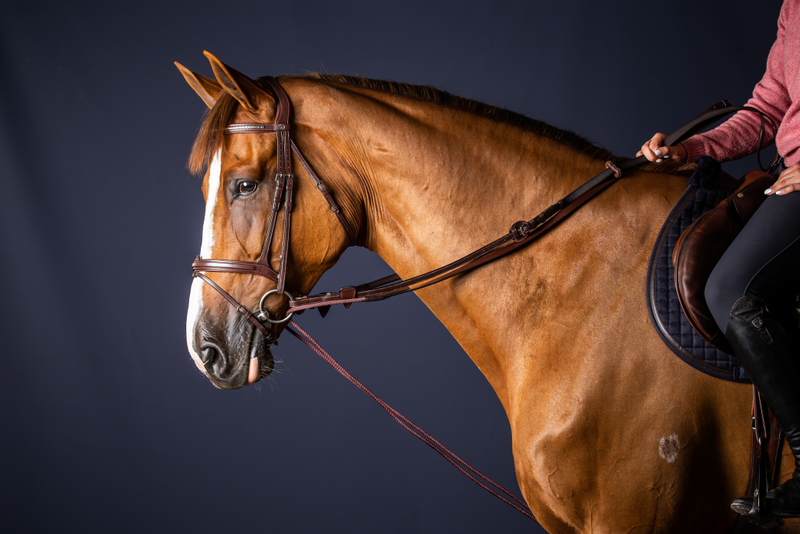 Chargez l'image dans la visionneuse de la galerie, Brun