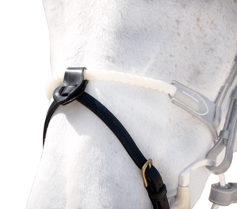 Chargez l'image dans la visionneuse de la galerie, Noir