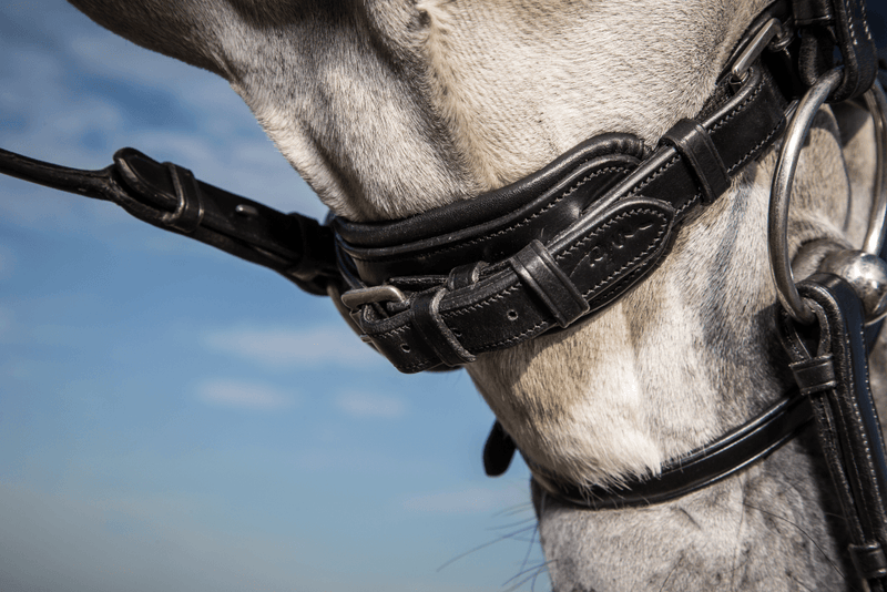 Chargez l'image dans la visionneuse de la galerie, Noir