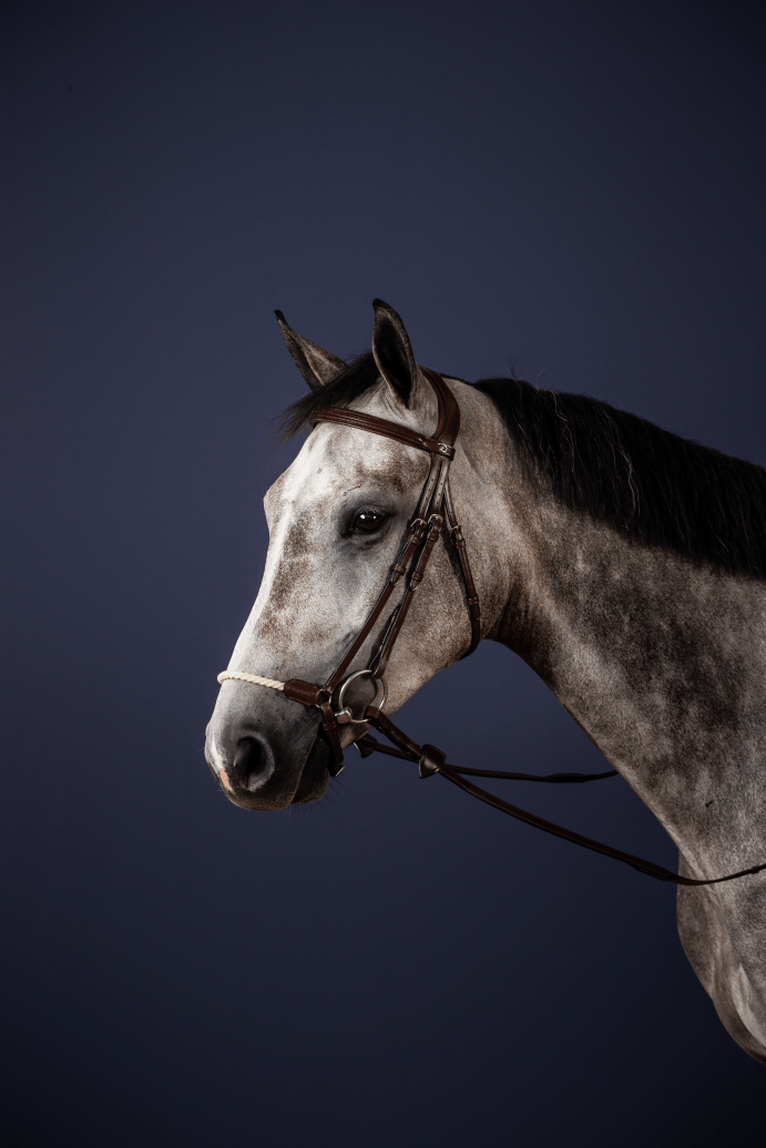 Chargez l'image dans la visionneuse de la galerie, Brun